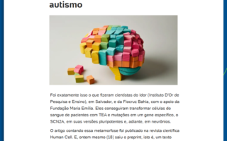 Idor no Viva Bem UOL