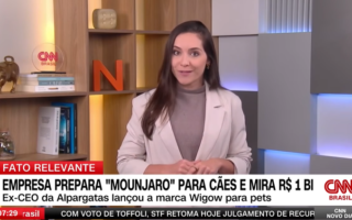 Wigow na CNN