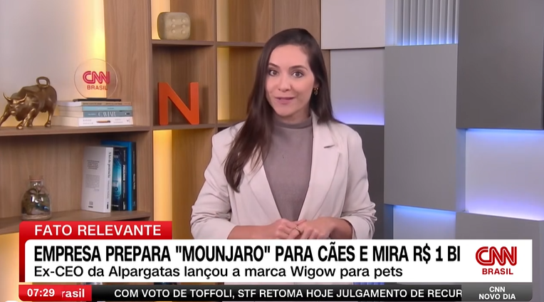 Wigow na CNN