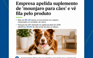 Wigow na Mônica Bergamo (Folha)