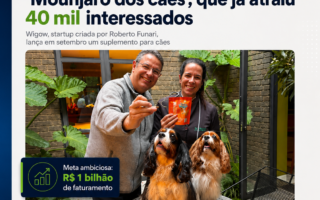 Wigow na Exame