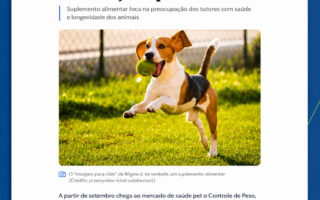 Wigow no Meio & Mensagem