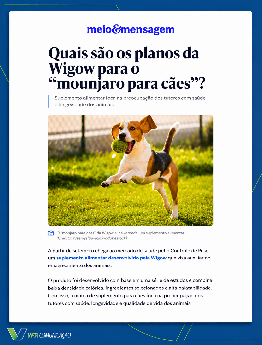 Wigow no Meio & Mensagem