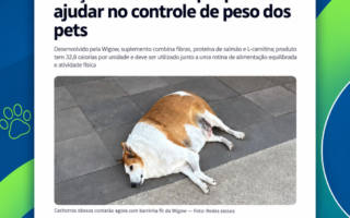 Wigow na Época Negócios